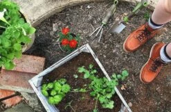 Red Wing Heritage Women's 6-Inch Classic Moc Style No. 3375 28 Red Wing Heritage Women's 6-Inch Classic Moc Style No. 3375 -Bison Trading Shop 13510977 1120285334695860 8031176429782595005 n