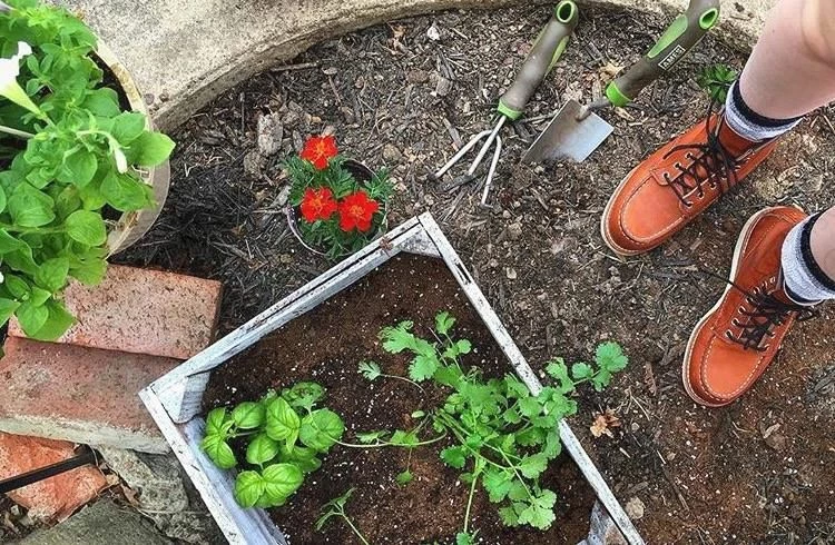 Red Wing Heritage Women's 6-Inch Classic Moc Style No. 3375 9 Red Wing Heritage Women's 6-Inch Classic Moc Style No. 3375 - Image 7