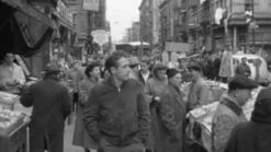 Aero Leather 1950s College Jacket 13 Aero Leather 1950s College Jacket -Bison Trading Shop aero 1950collegejacket 3