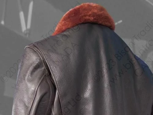 Aero Leather USN Type AN6552 8 Aero Leather USN Type AN6552 - Image 6