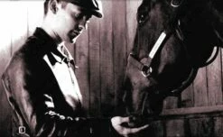 Aero Leather Premier Range Sea Biscuit 24 Aero Leather Premier Range Sea Biscuit -Bison Trading Shop aero seabiscuit 13